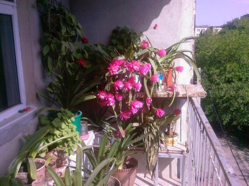 Rustavi Apartment | Бабушкин уют в РУСТАВИ