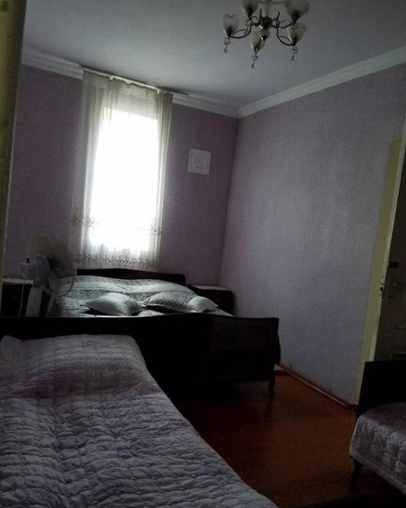 Akhali Ubani Apartment | საოჯახო სასტუმრო “Borjomi Guest house“