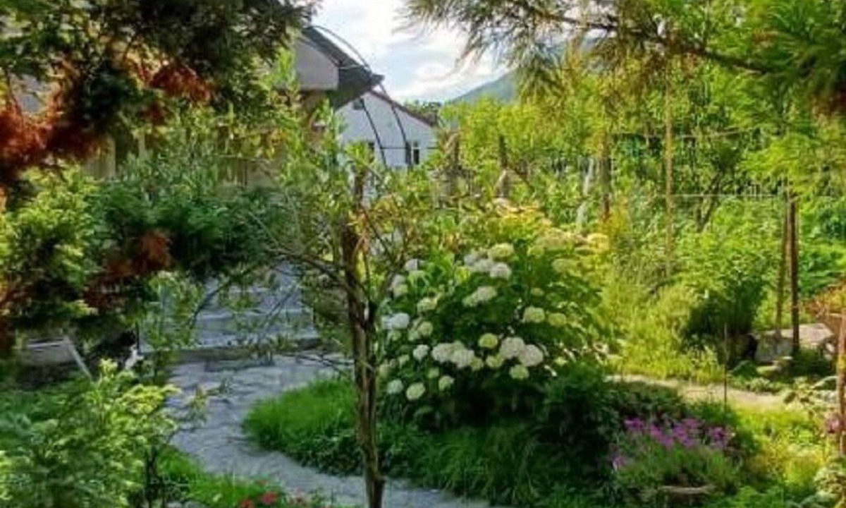 Lagodekhi Cottage | A comfortable 5-person cottage in a peaceful and scenic location in Lagodekhi.