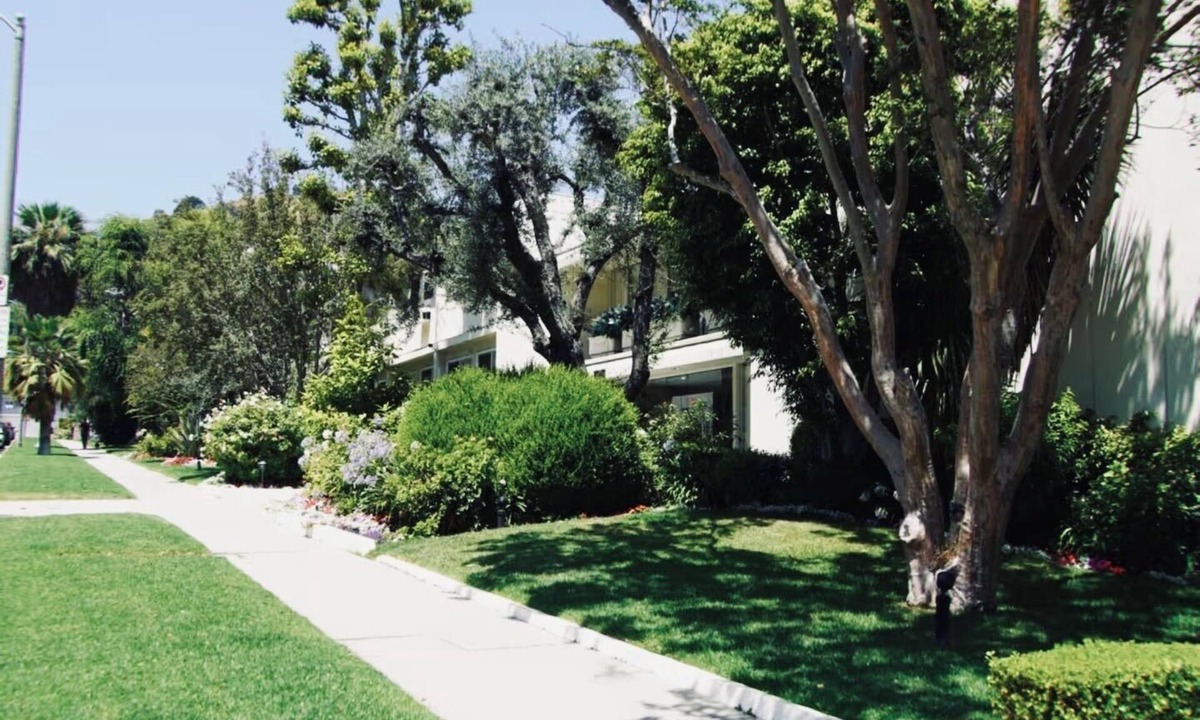 Hollywood Hills West Apartment | A quiet mid centuy West Hollywood building. Amazing location