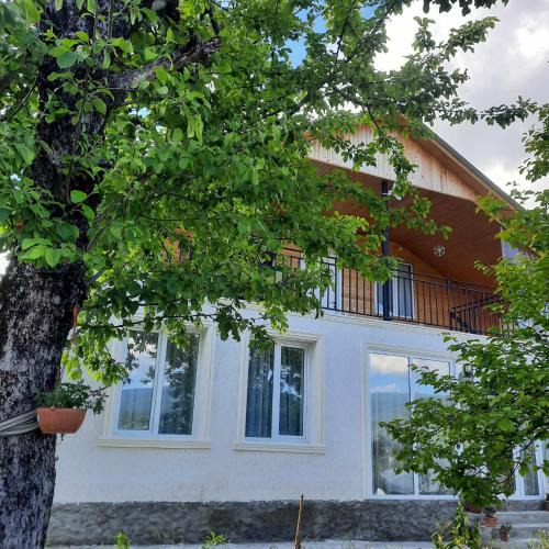 Ambrolauri House | Akidoni