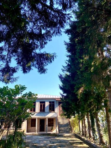 Samegrelo-Zemo Svaneti House | anno's house