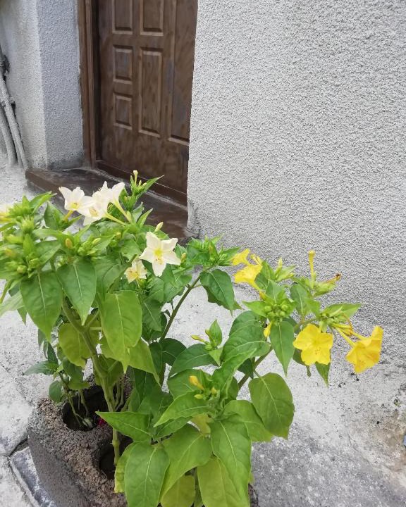Avlabari Apartment | Apartment Heart of Tbilisi