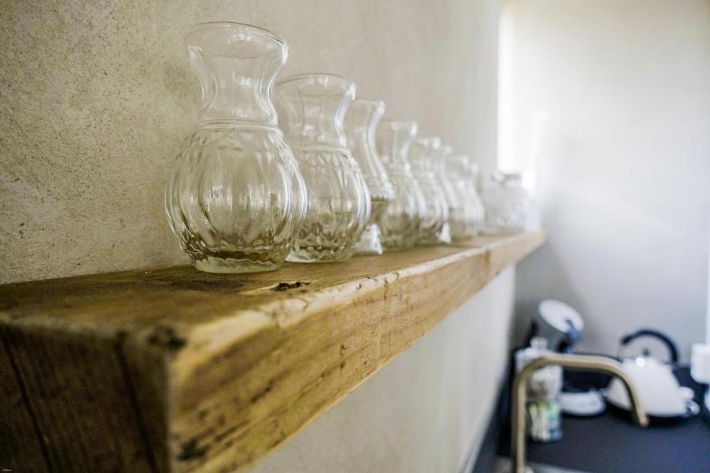 Alkmaar Apartment | Backyard