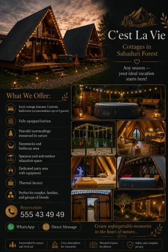 Vedzebi Apartment | C'est La Vie - Cottages in Sabaduri Forest