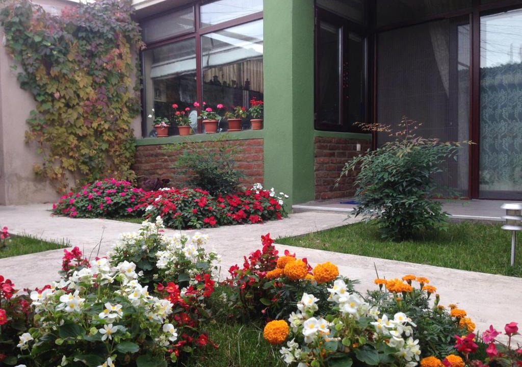 Tbilisi House | City Inn Guesthouse