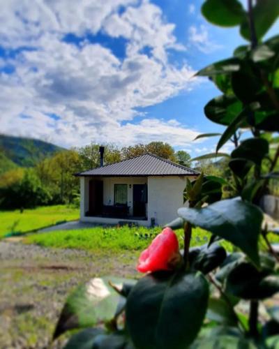 Ambrolauri Apartment | Cottage "Soulmate"