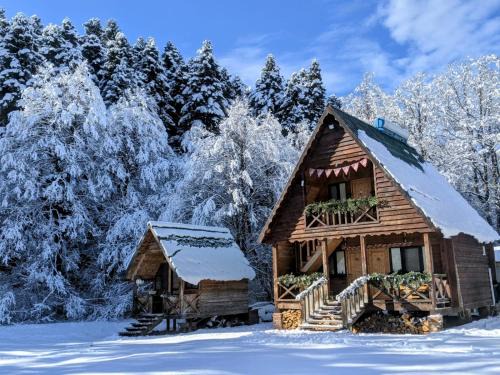 Ambrolauri House | Cottage Tsivtskala in Racha, near Shaori