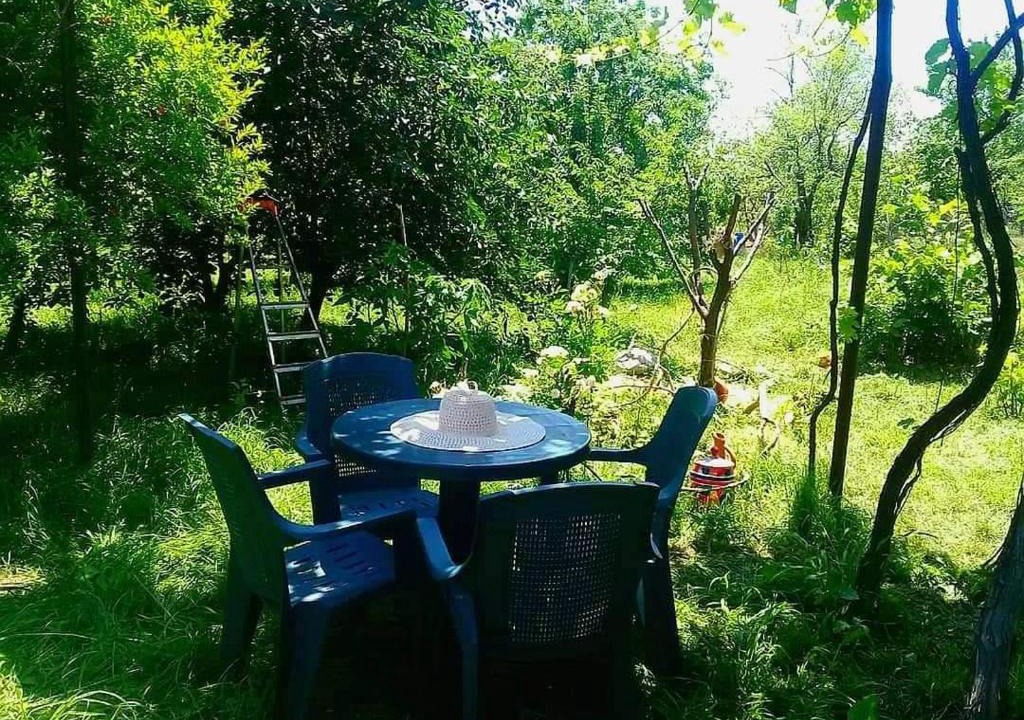 Vedzebi Apartment | Cozy 2 floor house with beautiful green garden
