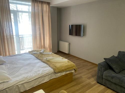 Bakuriani Apartment | Cozy apartment Dvali