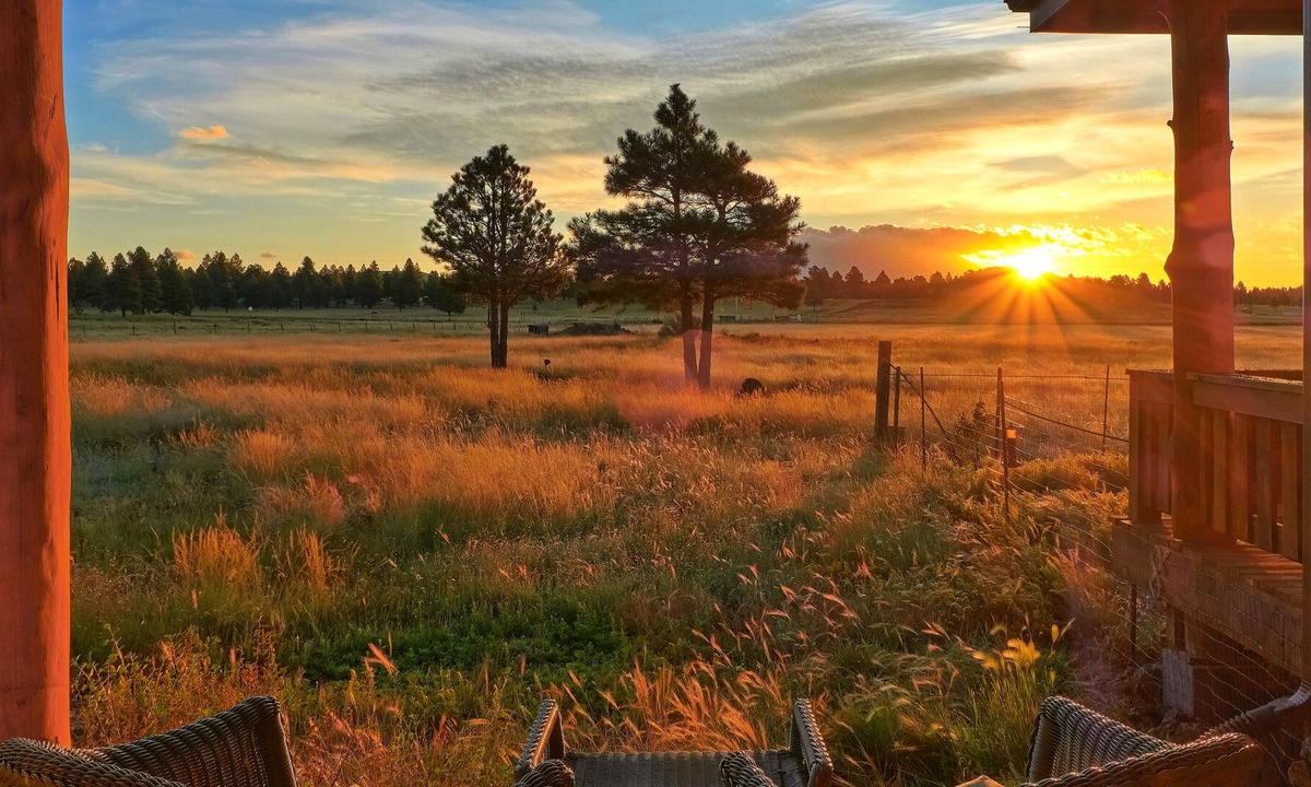 Parks House | East of the Sun Retreat, backs Kaibab National forest on 12 acres!