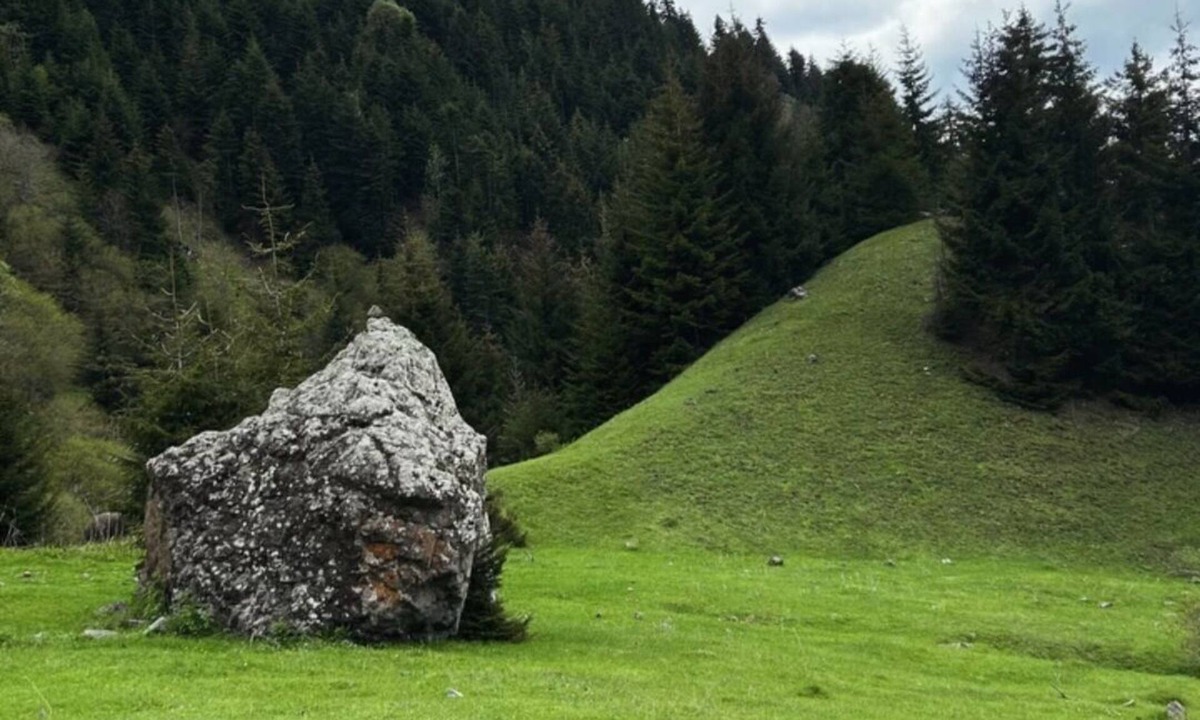 Likani House | Eco house in beautiful village near Borjomi for a relaxing getaway