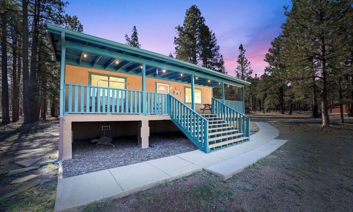 Parks Cabin | Fireplace nights, starry skies, wildlife mornings!
