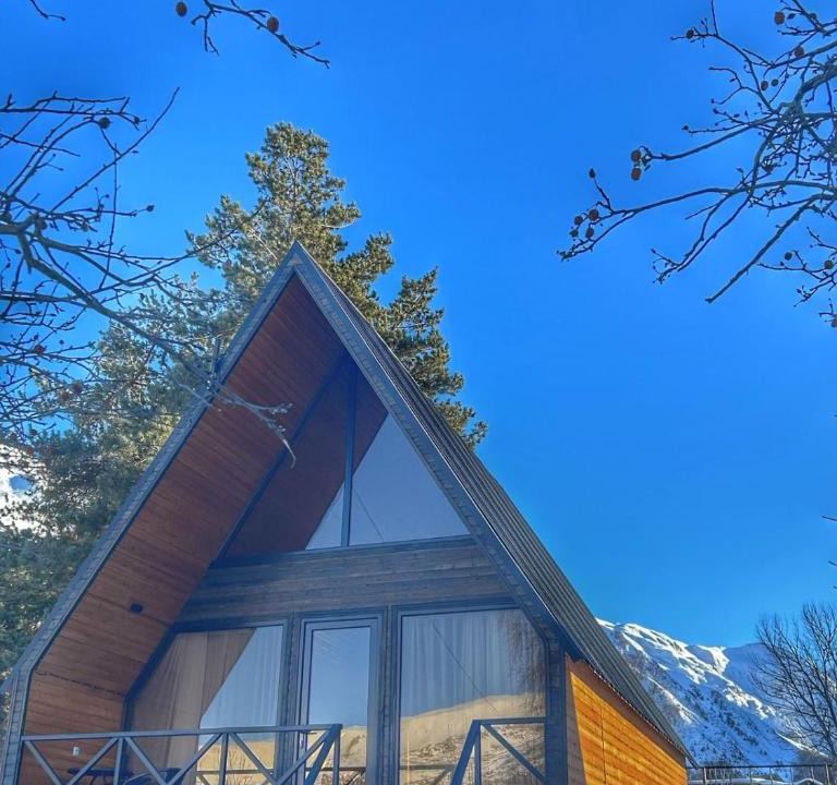Kazbegi Cabin | Forest view kazbegi