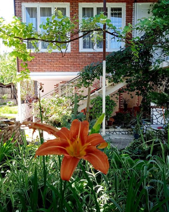 Mirzaani House | Guest house and Cuisine by Meri Poppins