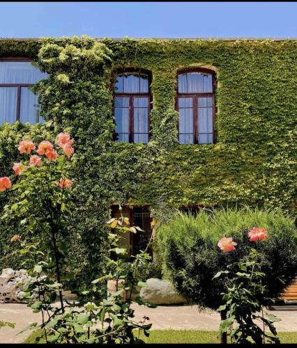 Ambrolauri House | Guesthouse Edena