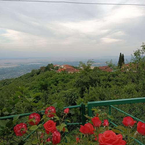 Sighnaghi House | Guesthouse Kiko