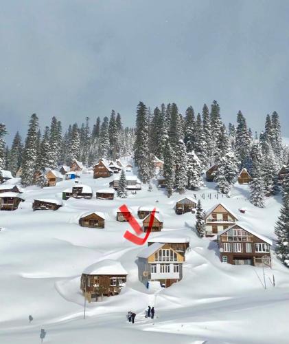 Bakhmaro Villa | House with panoramic views,central heating