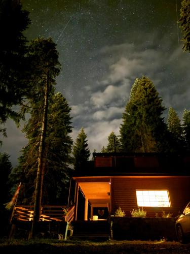 Bagvdanari Villa | In The Forest
