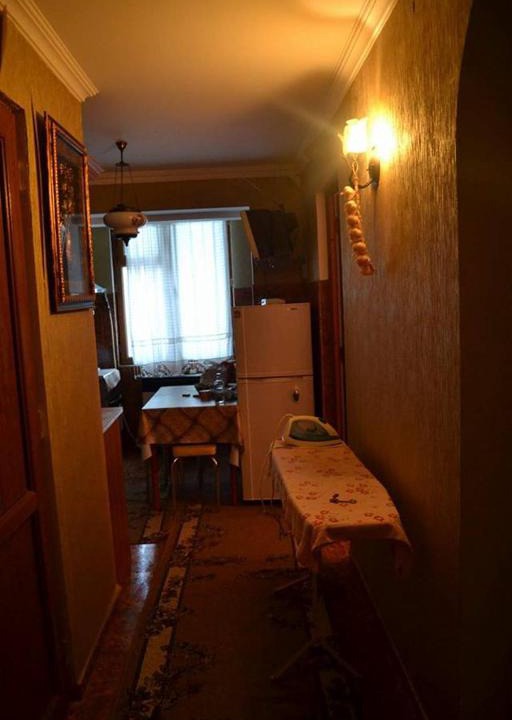 Akhali Ubani Apartment | Kira's Apartment in Borjomi City
