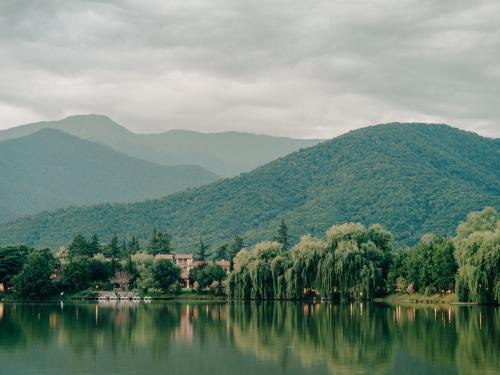 Napareuli Hotel | Lopota Lake Resort & Spa