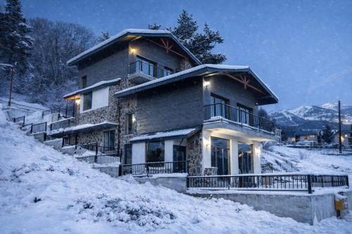 Bakuriani Apartment | Luxury Cottage Casa Di Familia - front cottage for families & groups