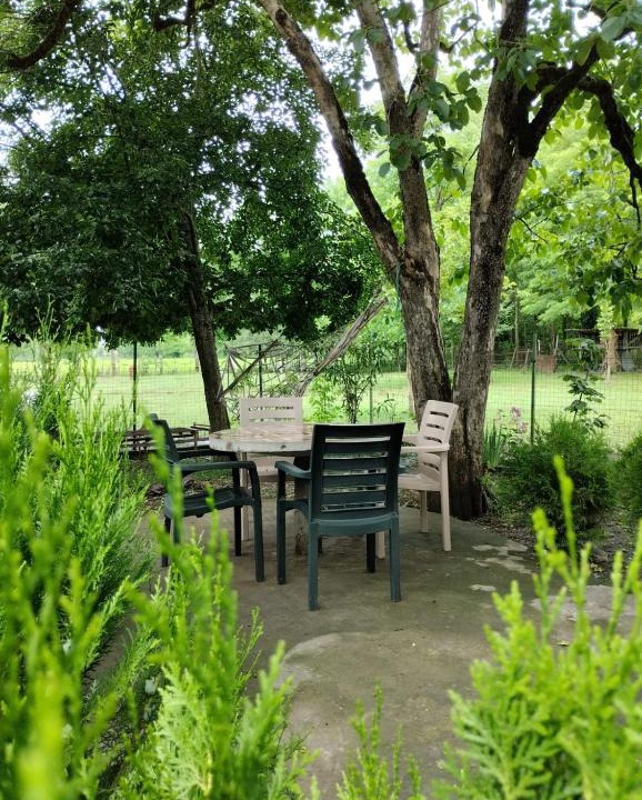 Salkhino House | Martvili Guesthouse