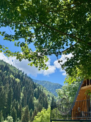 Racha-Lechkhumi and Lower Svaneti House | Mtiskari cottage in Utsera