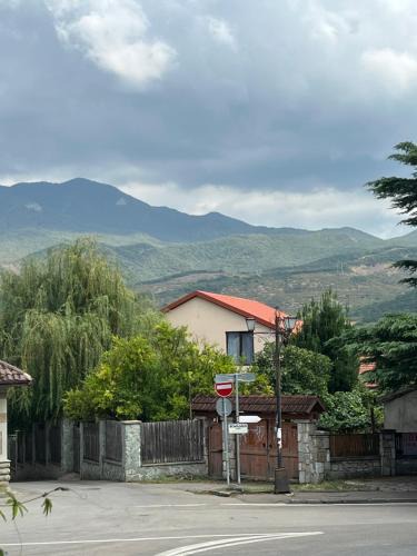 Mtskheta Apartment | Mtskheta View Hotel