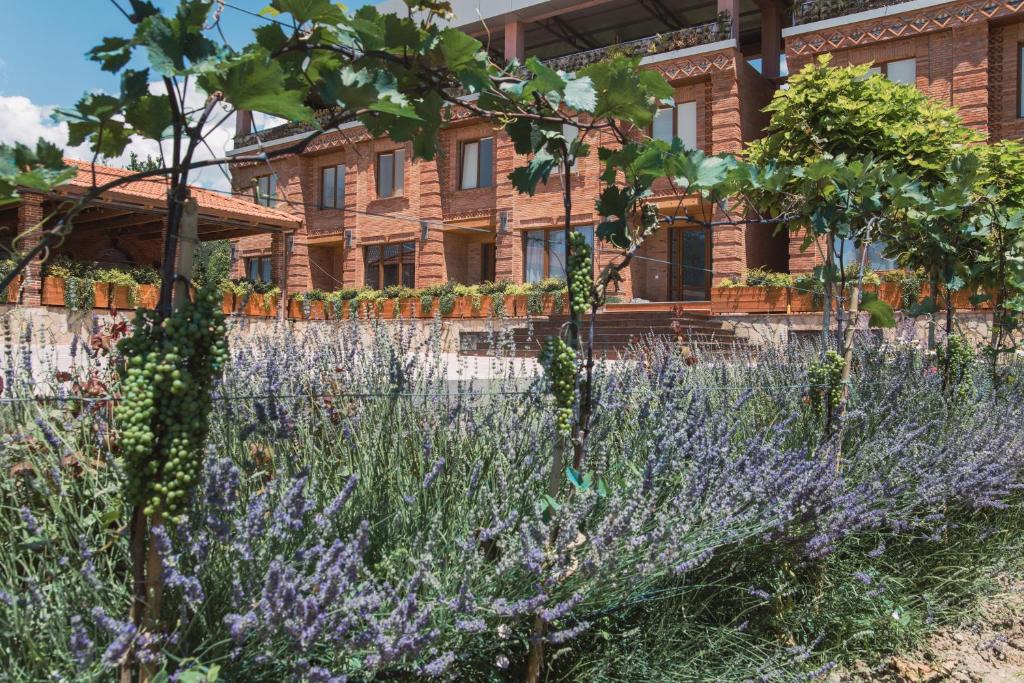 Kakheti Hotel | My Georgian village
