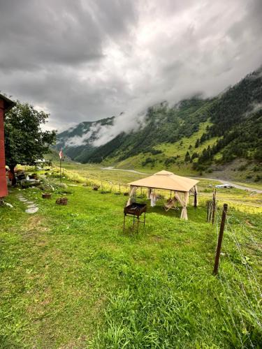 Dartlo House | Pirikiti