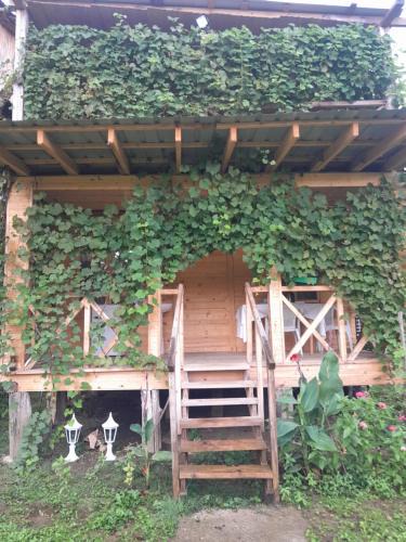 Martivili House | Riverside Cottage