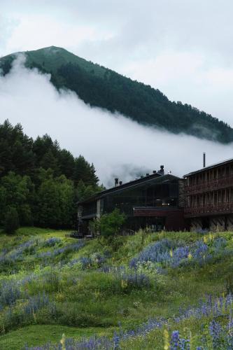 Omalo Hotel | Samzeo Tusheti