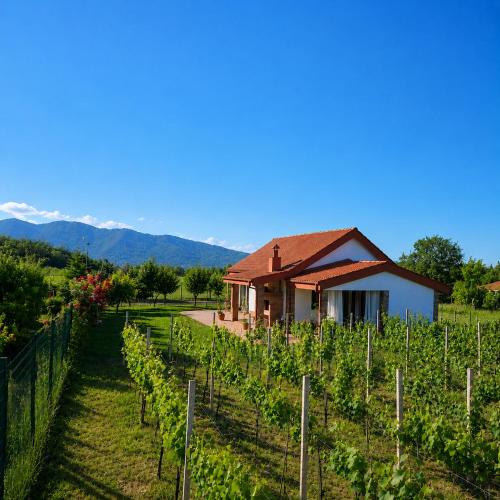 Kvareli Villa | Villa Lazarina Vineyard Views