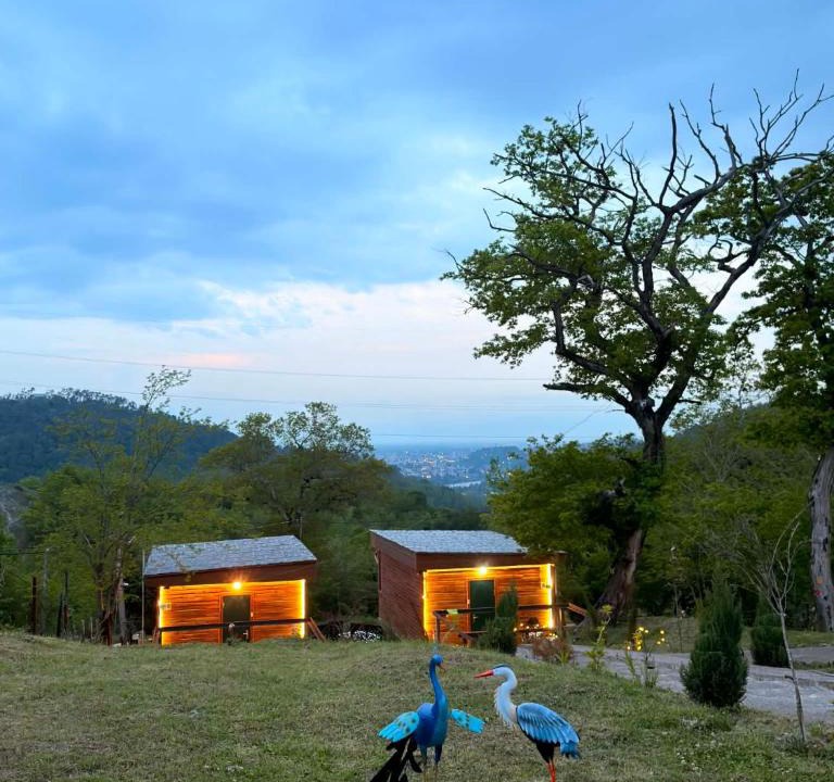 Tkibuli Apartment | Windy Hills