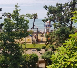 Dreamland Oasis 