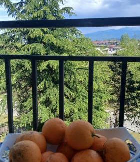 Kobuleti Apartment | Апартаменты на первой линии с SPA бесплатным бассеином и тренажерным залом