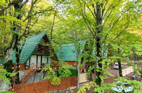Mtskheta House | კოტეჯები ჩრდილში - Cottages in the shade