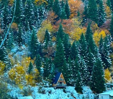 Lentekhi House | ლენტეხის მთის სასტუმრო - Lentekhi Mountain Inn
