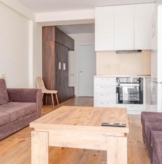 Kazbegi Apartment | 2-room apartment New Gudauri F1