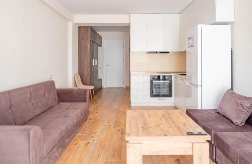 Kazbegi Apartment | 2-room apartment New Gudauri F1