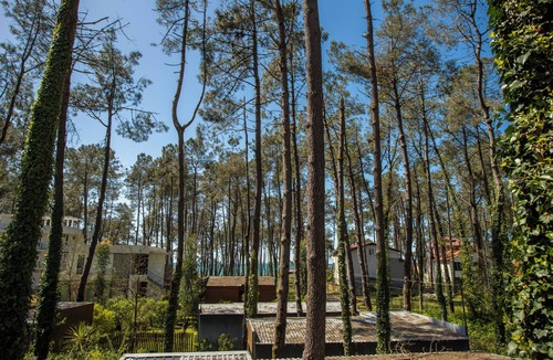 Ureki Cottage | 3-bedroom cottage in Kaprovani with BBQ/3 minutes to the sea