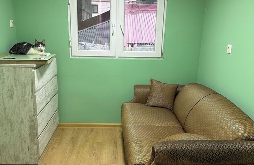 Batumi House | 3-bedroom house in brilliant Batumi with AC