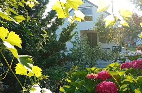 Lagodekhi Cottage | A comfortable 5-person cottage in a peaceful and scenic location in Lagodekhi.