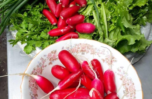 Tsalka House | Agro House Mezge - აგროსახლი მეზგე