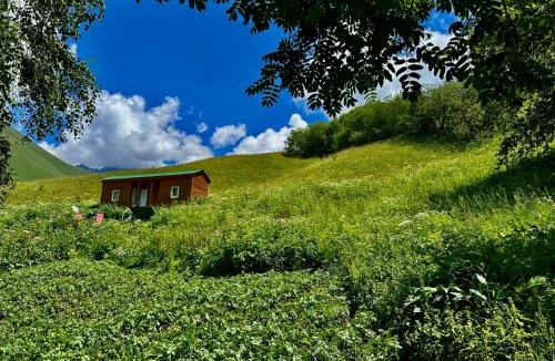 Juta House | amo-isuntke