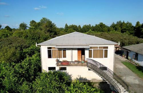 Anaklia House | Ani's Green House