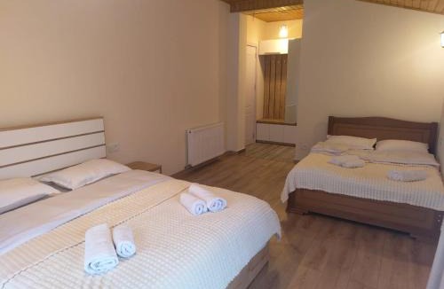 Bakuriani Villa | Anna's cozy cottage
