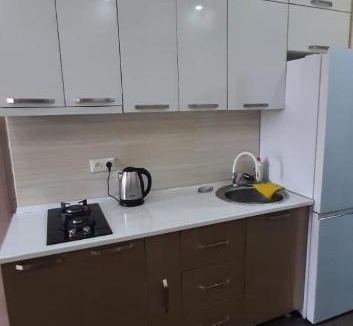 Kutaisi Apartment | Apartment House for Rent