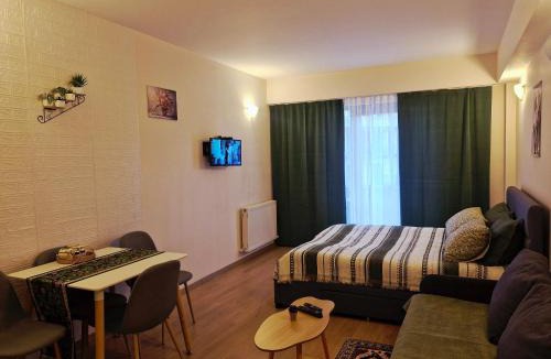 Kazbegi Apartment | Apartment Spartak